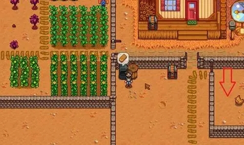 星露谷物语一开始怎么赚钱_星露谷物语最新版本