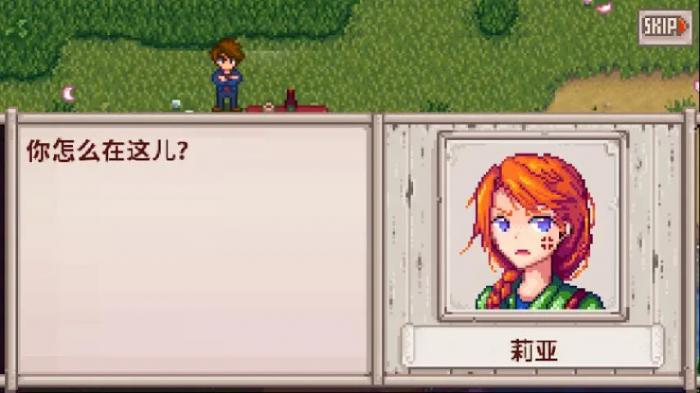 星露谷物语齐钻换什么好3