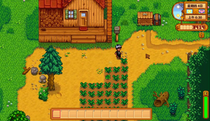 星露谷物语怎么让背包变大_星露谷物语的背包怎么加大