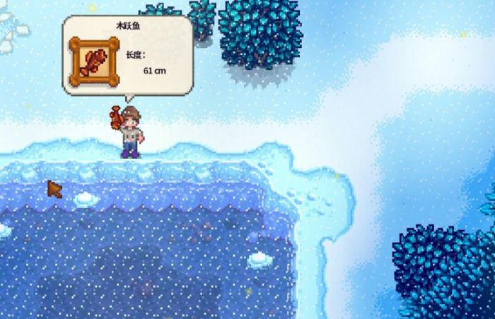 星露谷物语冬季的鱼有哪些2