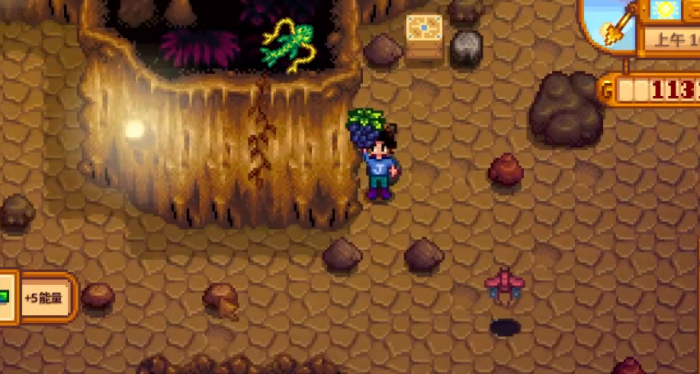 星露谷物语蟹笼能抓到什么2