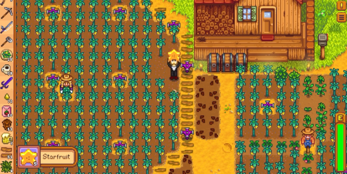 星露谷物语夏天种什么树2