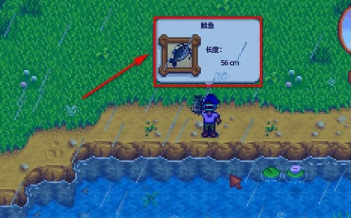 星露谷物语物怎么钓鱼2