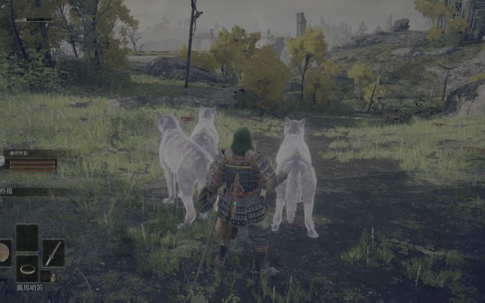 艾尔登法环哪里老鼠多2