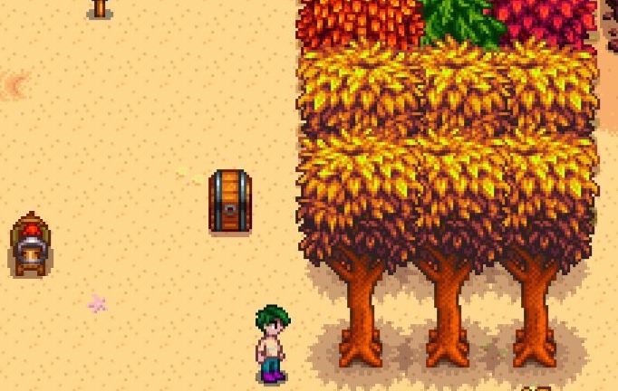 星露谷物语桃花心木怎么种3