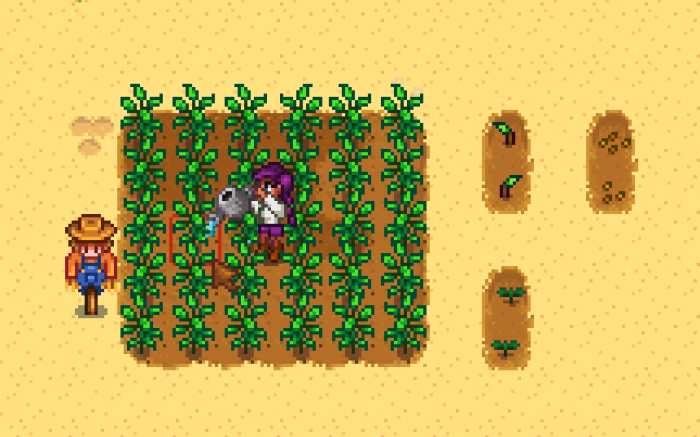 星露谷物语收集品怎么点亮3