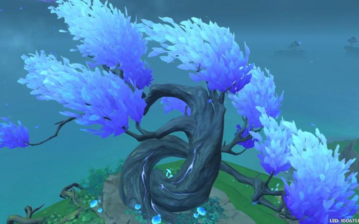 原神栖木解谜怎么做_原神栖木石板 原神栖木解谜怎么做_原神栖木石板