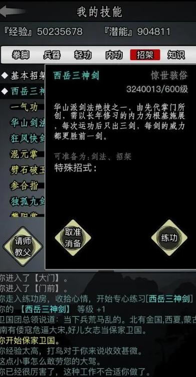 放置江湖最强剑法武功是什么_放置江湖 最新剑法排名