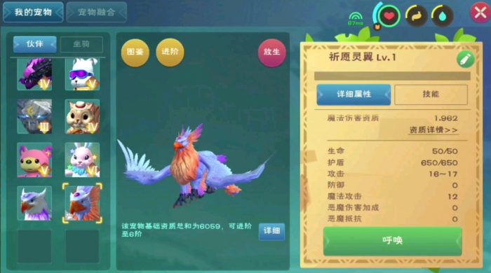 创造与魔法祈愿灵翼值得培养吗1