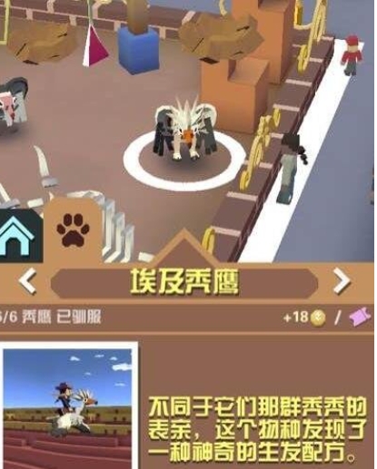 疯狂动物园如何抓稀有动物1