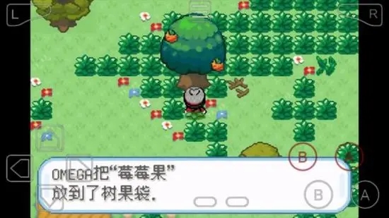 口袋妖怪火红树果森林怎么走1