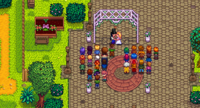 星露谷物语怎么和罗宾结婚2