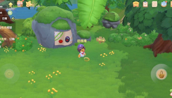 摩尔庄园泳池怎么建2