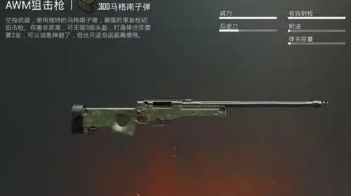 绝地求生有哪些单发狙击枪2