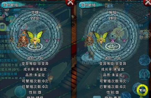 忘仙灵尊带什么宠物2