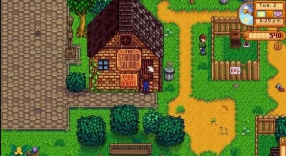 星露谷物语鹈鹕镇有哪些建筑1