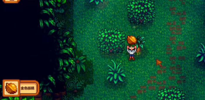 星露谷物语姜岛上有什么2