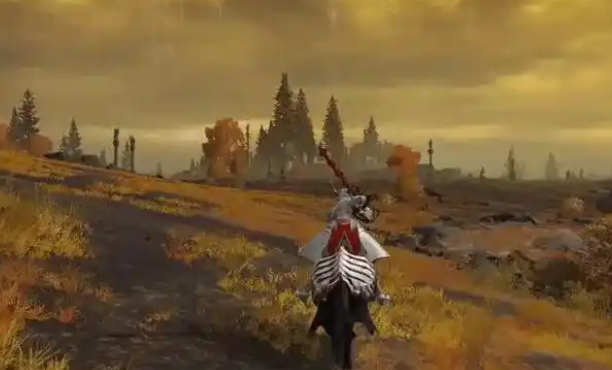 艾尔登法环野兽爪值得刷吗2