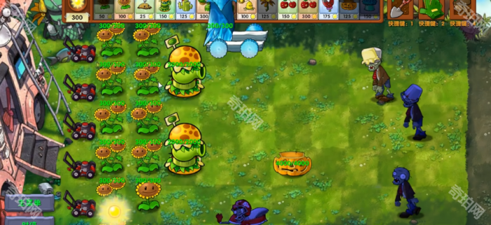 《植物大战僵尸融合版》杂交版联动植物汉堡王介绍2