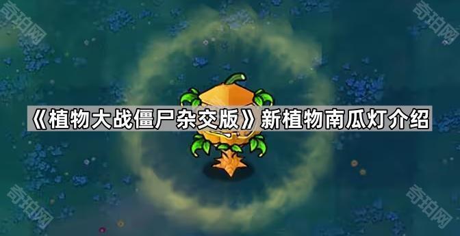 《植物大战僵尸杂交版》新植物南瓜灯介绍1