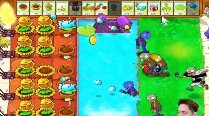 《植物大战僵尸杂交版》冒险模式第44关通关攻略3