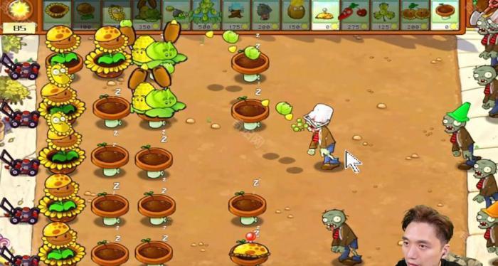 《植物大战僵尸杂交版》冒险模式第25关通关攻略3