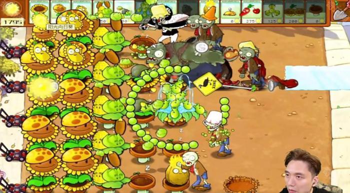 《植物大战僵尸杂交版》冒险模式第25关通关攻略5