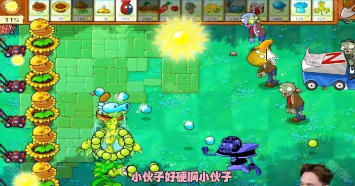 《植物大战僵尸杂交版》冒险模式第39关通关攻略3