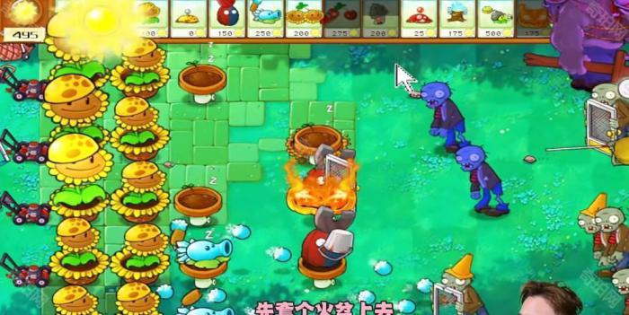 《植物大战僵尸杂交版》冒险模式第38关通关攻略4