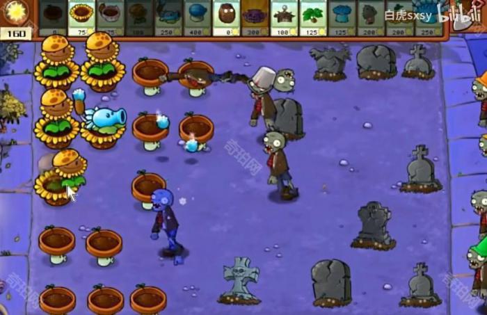 《植物大战僵尸杂交版》挑战模式第1关通关攻略3