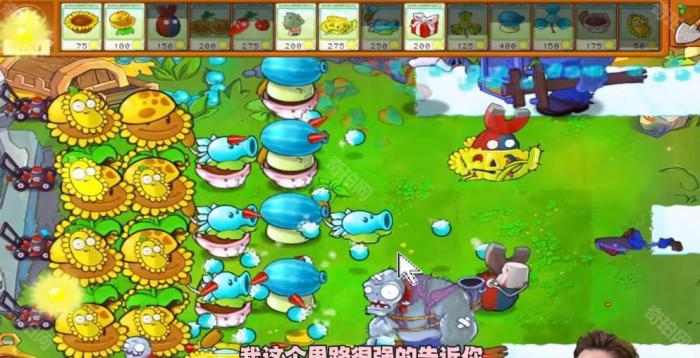 《植物大战僵尸杂交版》冒险模式第50关通关攻略5
