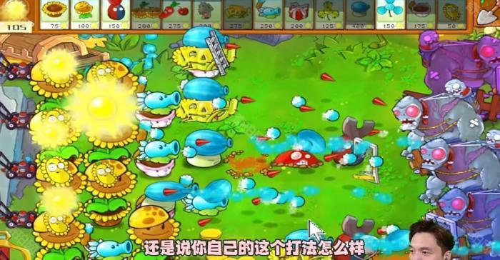 《植物大战僵尸杂交版》冒险模式第51关通关攻略5