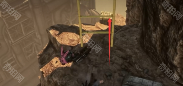 《剑星》猫咪摄影展任务攻略18