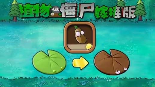 植物大战僵尸嫁接版新植物咖啡豆荷叶介绍_植物大战僵尸中咖啡豆有啥用