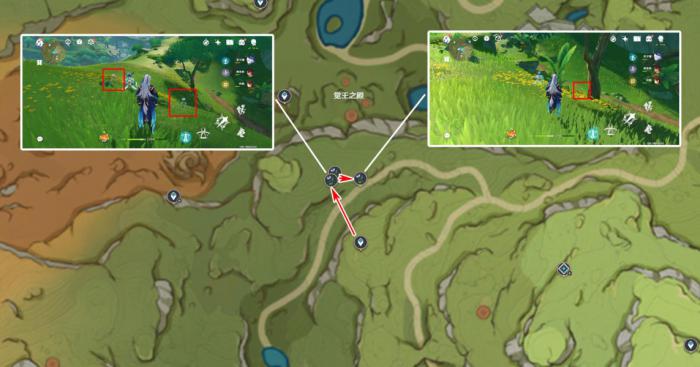 《原神》妮露突破材料帕蒂莎兰采集攻略6