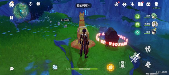 《原神》赐福森林宝箱全收集攻略25