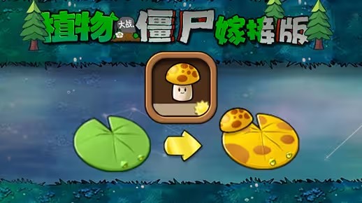 《植物大战僵尸嫁接版》新植物阳光菇荷叶介绍1