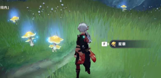 原神星蕈怎么活化2