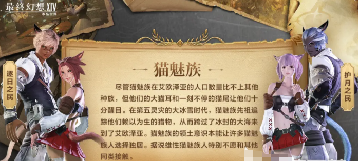 最终幻想14水晶世界初始种族哪个好3