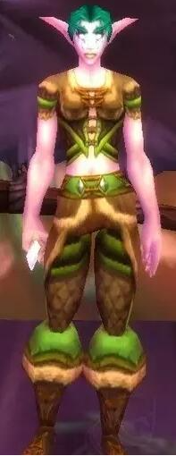 魔兽世界达纳苏斯剥皮训练师在哪3