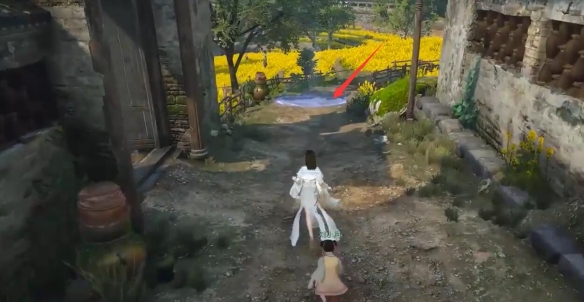 逆水寒手游缉鸡记奇遇怎么做5