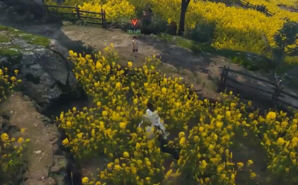 逆水寒手游缉鸡记奇遇怎么做7