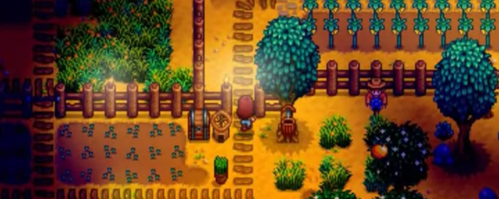 星露谷物语秘密森林有什么用1