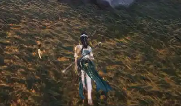 燕云十六声蛇王密藏怎么过_燕云十六蛇王密藏怎么触发