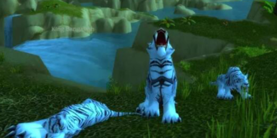 魔兽世界荆棘谷虎王在哪1