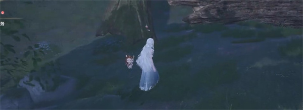 无限暖暖美甲金龟在哪捕捉_无限暖暖美甲金龟怎么捉