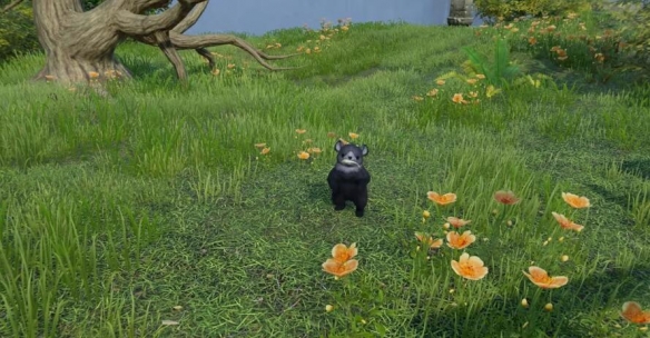 剑网3太行道宠物奇遇怎么做13