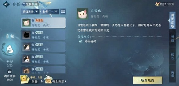 逆水寒手游育宠师怎么玩1