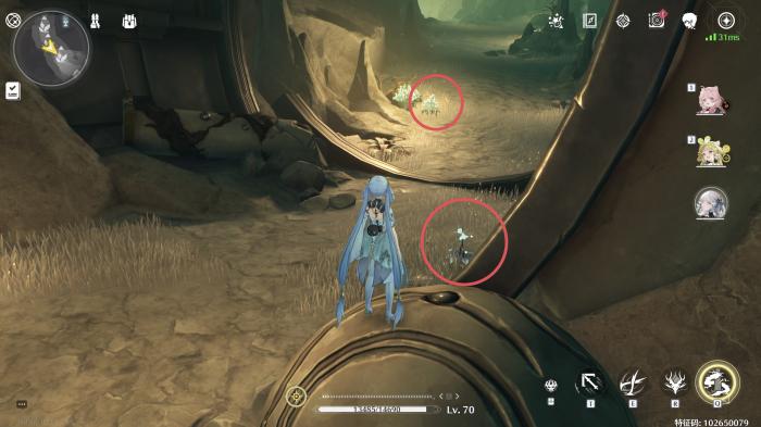 鸣潮龙吐珠采集路线是什么11