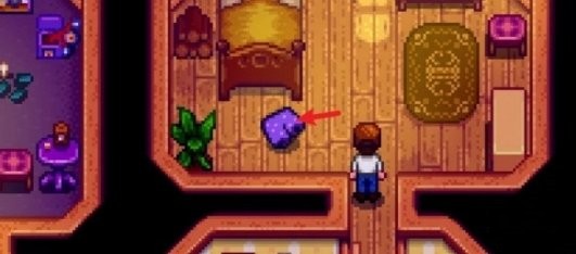 星露谷物语镇长紫色短裤在哪里5